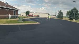 Best Driveway Pressure Washing  in Hackberry, TX